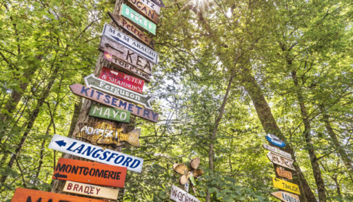 Homemade signs appear on many cottage roads directing the final leg of the journey. The sheer number of signs in this photo is exceeded only by the character displayed by each one.