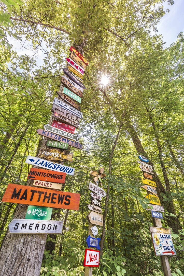 Homemade signs appear on many cottage roads directing the final leg of the journey. The sheer number of signs in this photo is exceeded only by the character displayed by each one.