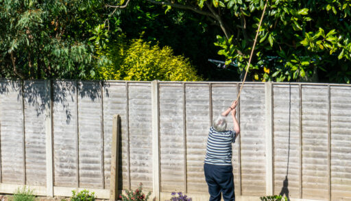 Elderly woman trimming neighbours tree over her property