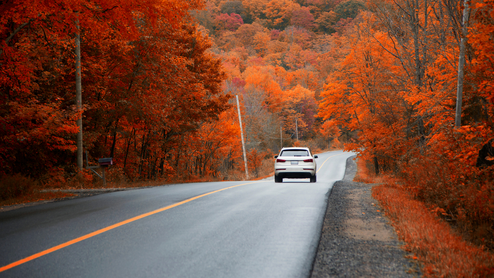 Car driving down a road in the fall.