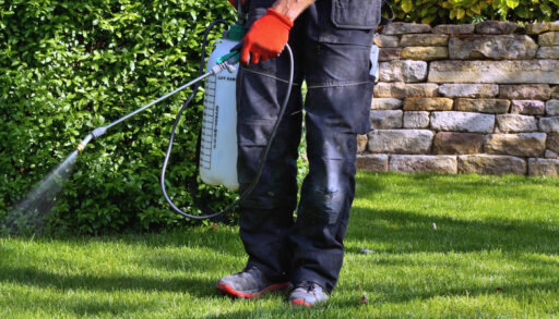 Person spraying pesticides in a garden with a hose.
