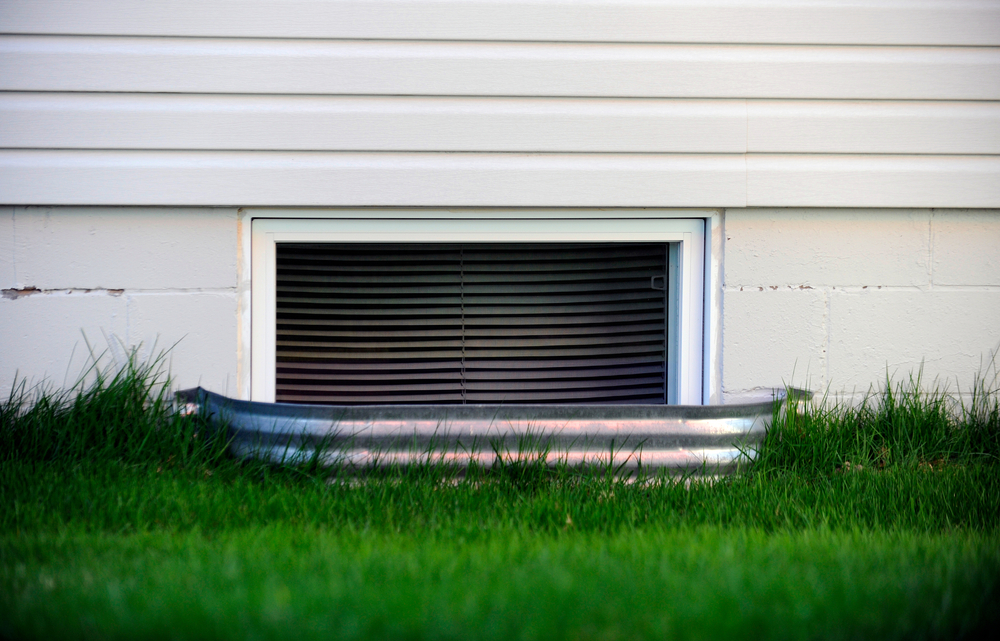 Exterior view of a basement window well in the spring.