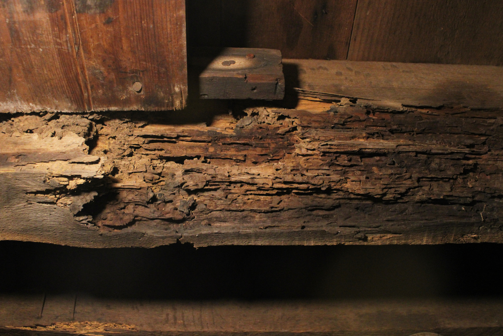 Damaged/rotting wood beam