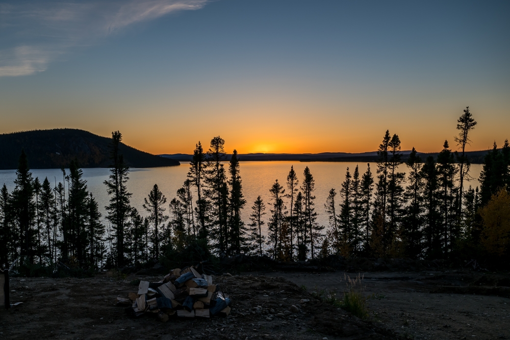 Black spruce trees silhouetted against an orange sunset.