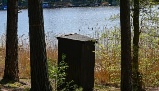 Outhouse in forest near waterfront