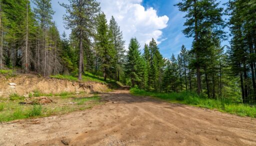 A vacant lot surrounded by a forest, cleared for contruction.