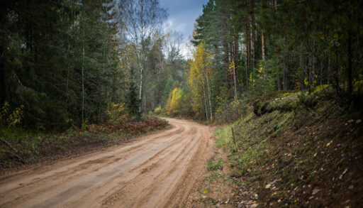 Cottage road running through a forest.