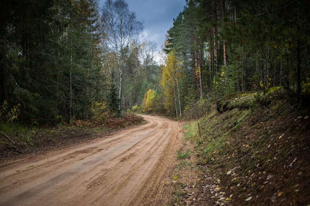 Cottage road running through a forest.