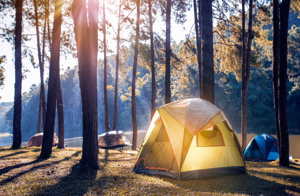 Camping tent in forest under sunshine