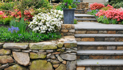 Stone steps and retaining wall with garden