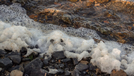 Close-up of foamy water on a lakeshore.