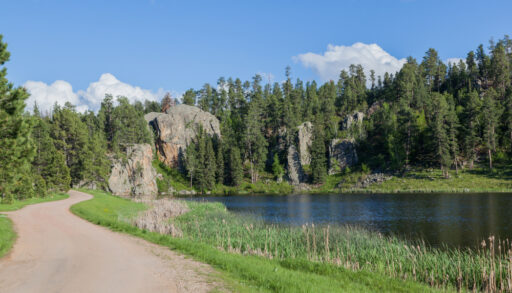 Dirt road in a forest running alongside a lake.