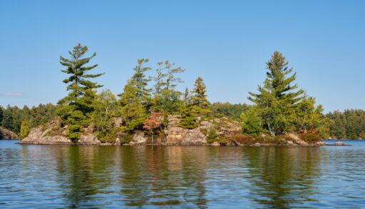 Island with trees on Skeleton Lake, near Skeleton Falls, Ontario.