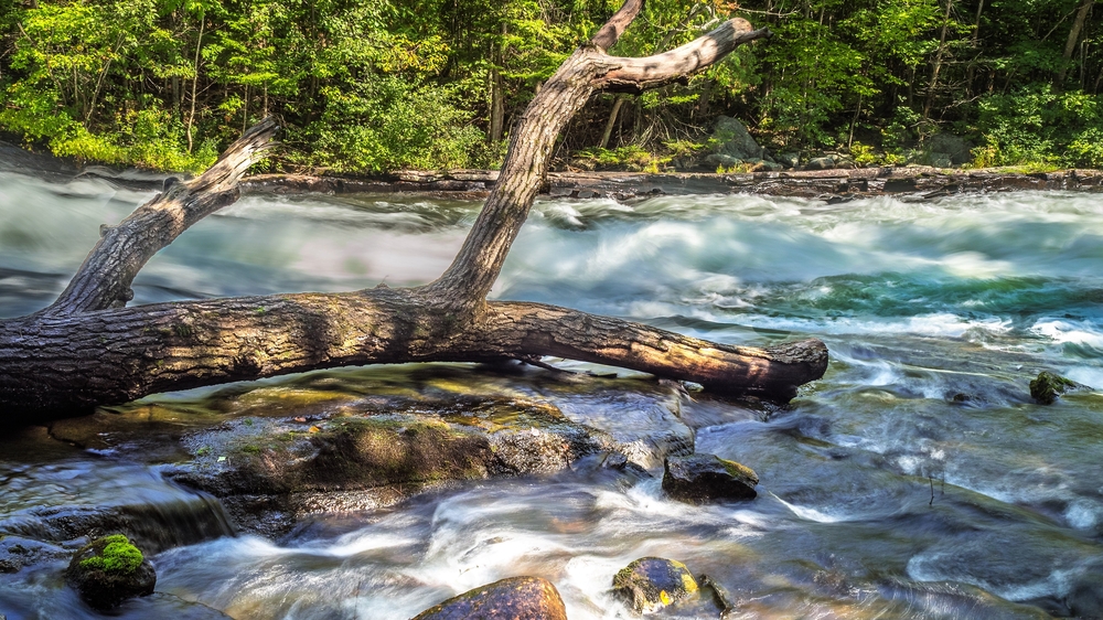 Buttermilk Falls, Ontario on a sunny day.
