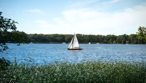 White sailboat on a lake.