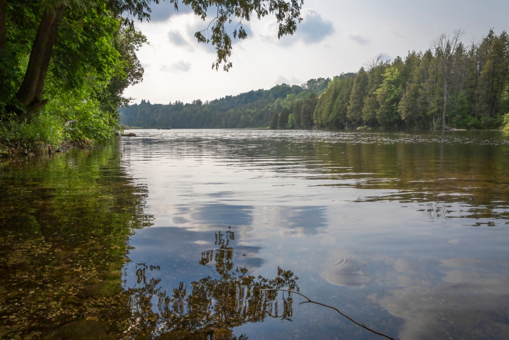 View of the Saugeen River, Ontario on a sunny afternoon.