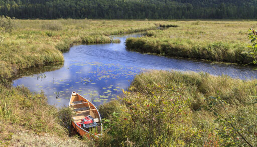 Canoe on the shoreline of Madawaska Lake, Ontario.