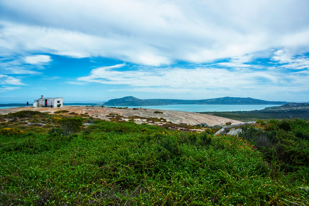 Landscape outside Cape Town, South Africa with a small, white cottage.