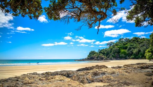 View of Sandy Bay along the Tutukaka coast in New Zealand.