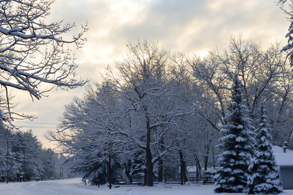 Winter landscape at sunset in Northern Michigan.