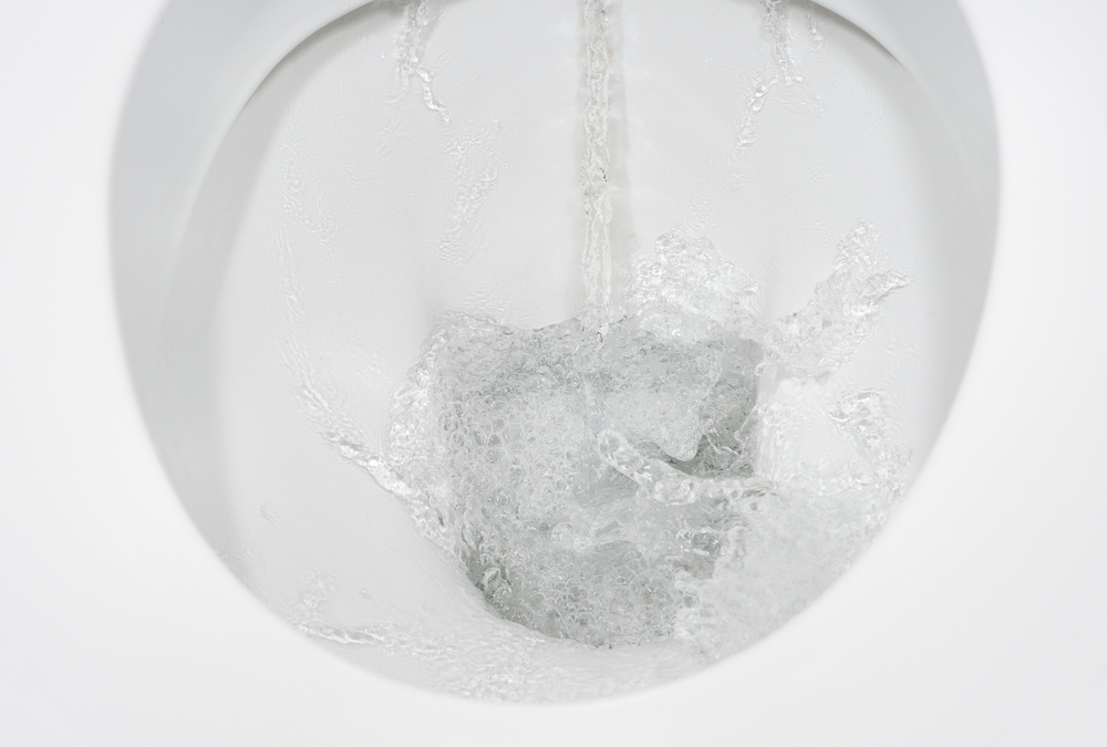 Close-up of a toilet being flushed.