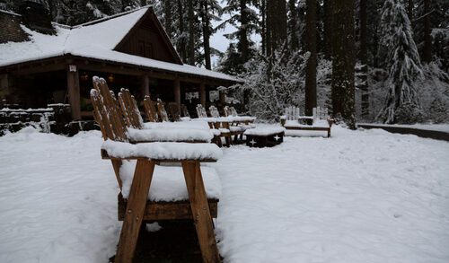 Row of snow-covered Muskoka chairs on a deck.