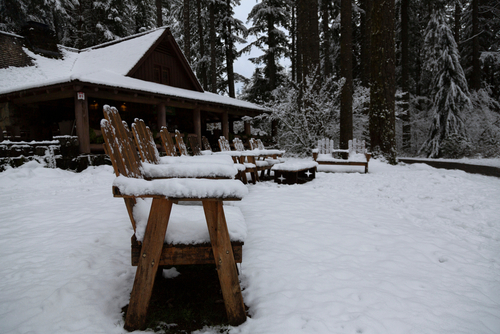Row of snow-covered Muskoka chairs on a deck.