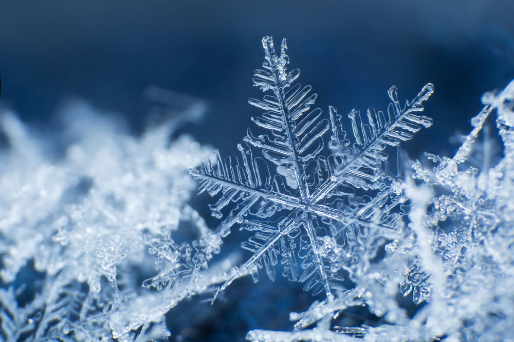 Close-up of a snowflake on a blue background.