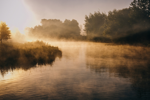 Sun shining on a misty river.