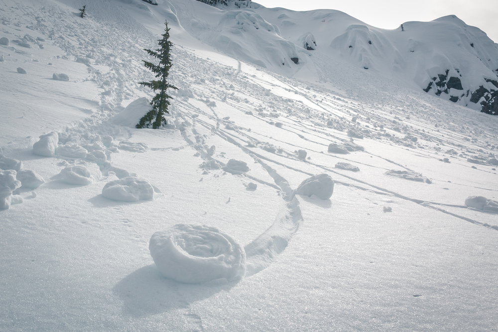 Curled snow on a hill next to a pine tree.