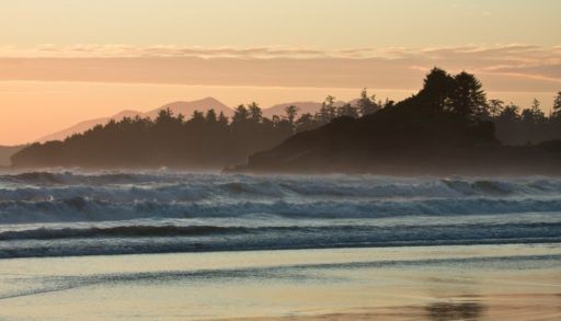 Tofino
