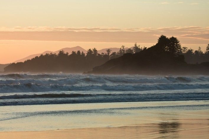 Tofino