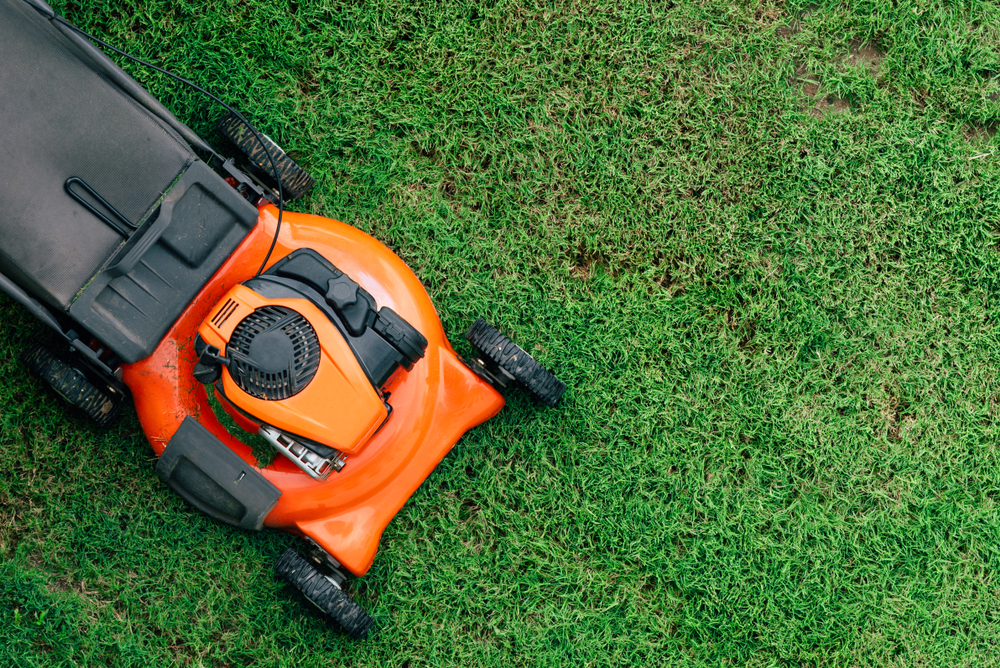 Overhead view of an orange lawnmower on a green lawn.