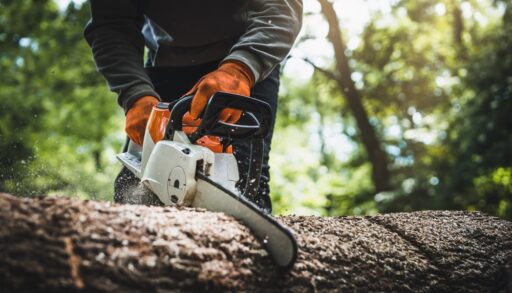 Person using a chainsaw to cut a log in a forest.