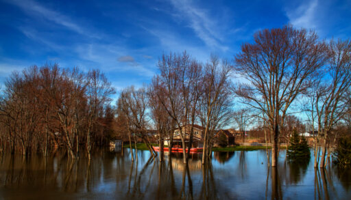 Flooding near a house and some trees along near the Ottawa River.