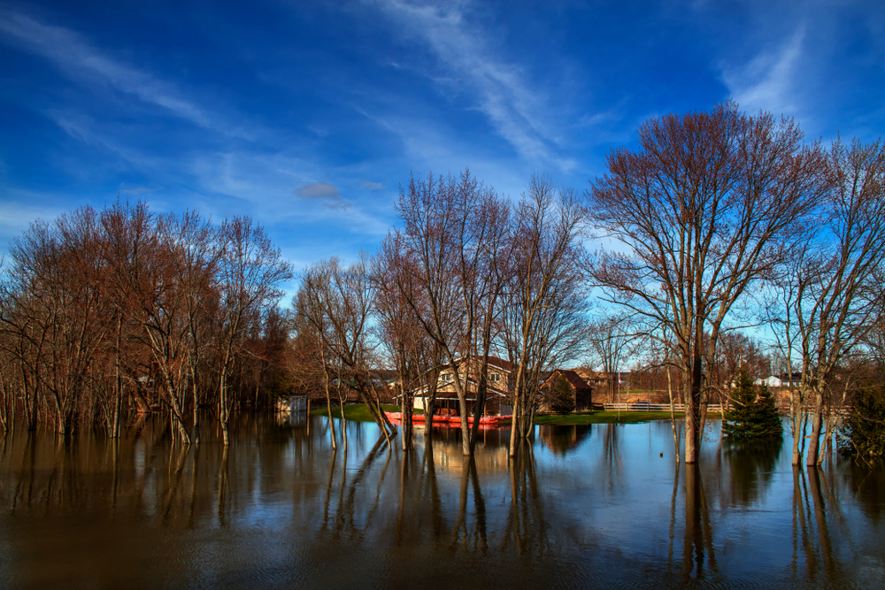 Flooding near a house and some trees along near the Ottawa River.