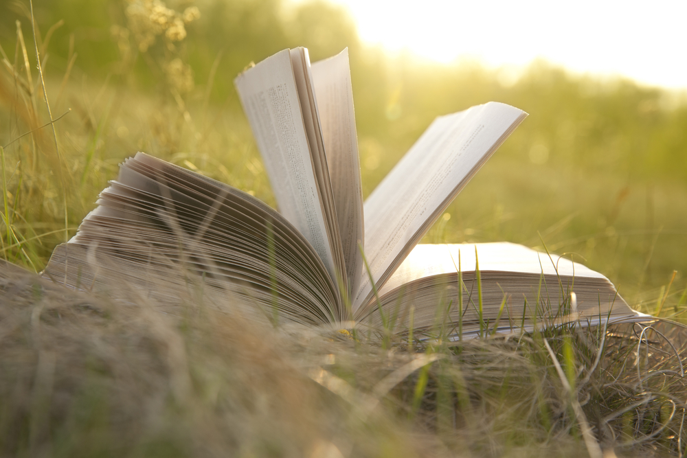Open book lying in the grass.