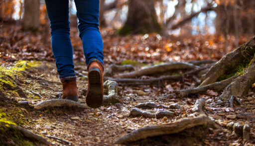 Close-up of a woman's feet as she walks in a forest.