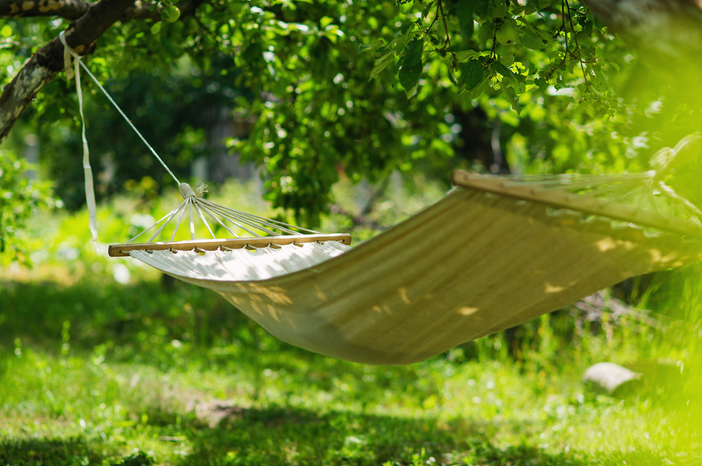 White hammock hanging from trees in a forest.