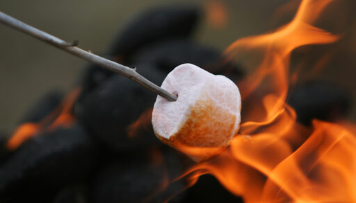 Marshmallow on a stick being roasted over a campfire.