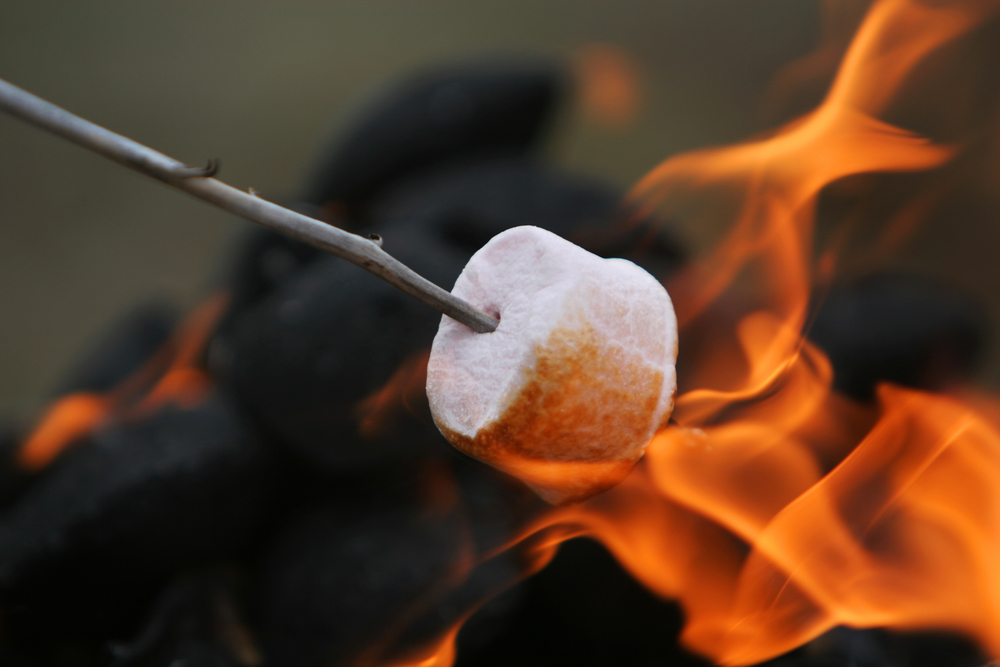 Marshmallow on a stick being roasted over a campfire.