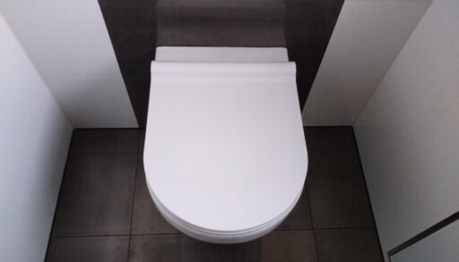 White toilet in a dark-coloured bathroom.