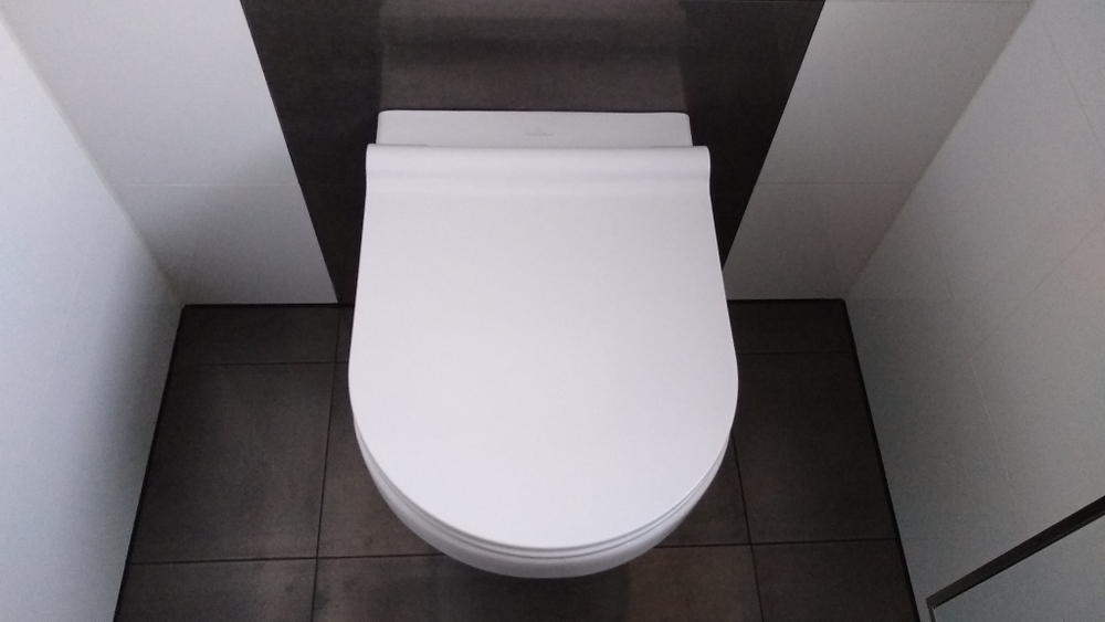 White toilet in a dark-coloured bathroom.
