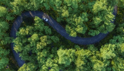 Overhead view of a car driving on a road in a forest.