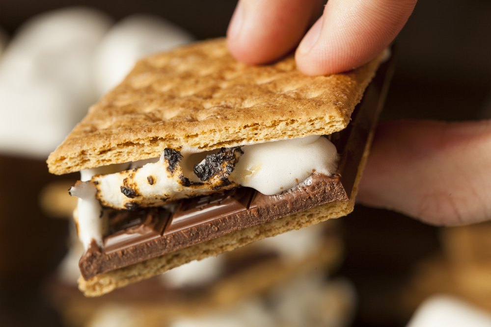 Close-up of a person holding a s'more.