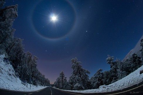 Night sky with a bright star above a wintry forest.