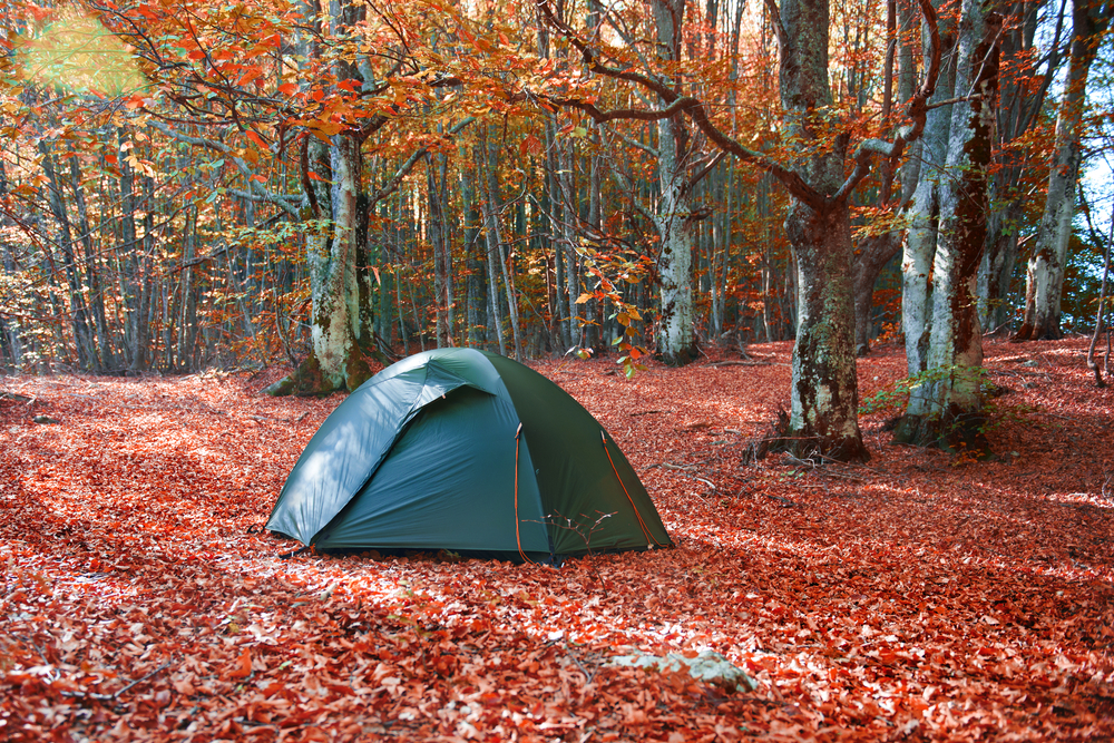 Blue-green tent in the middle of an autumn forest covered in red leaves.