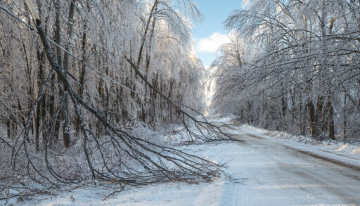 Aftermath of a winter ice storm on a road.