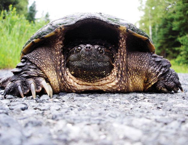 Landscapes 1st Place