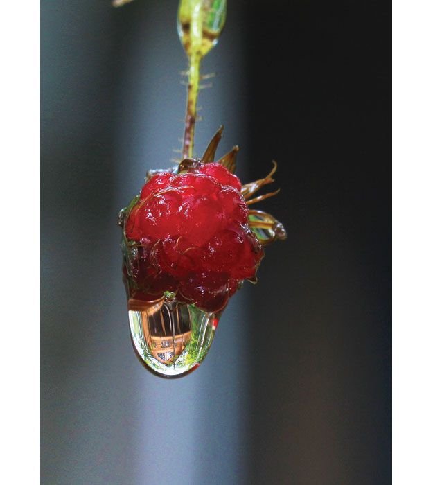 Landscapes 3rd Place